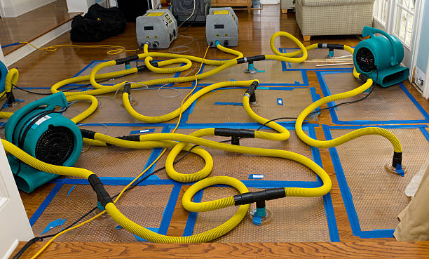 Professional Sewage Cleanup technician working in Wills Point, TX